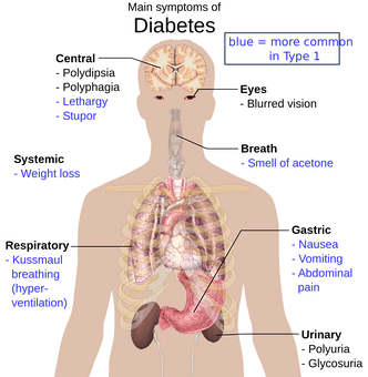 word art with list of symptoms